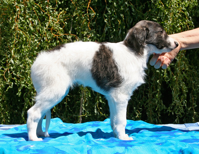 Surf Spots - Boy 2 Right